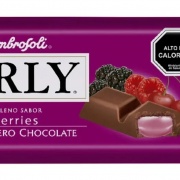 CHOCOLATE ORLY BERRIES 95GRS 15UND