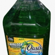 OASIS LAVALOZA VERDE 5 L DESDE 5 UN.