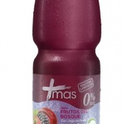 CACHANTUN MAS FRUTOS BOSQUE 1.6 LT DISPLAY 6 UN.