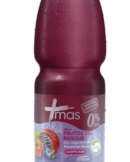 CACHANTUN MAS FRUTOS BOSQUE 1.6 LT DISPLAY 6 UN.