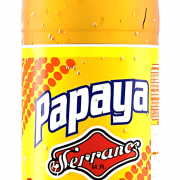 FRUNA PAPAYA 2 LT DISPLAY 6 UN.